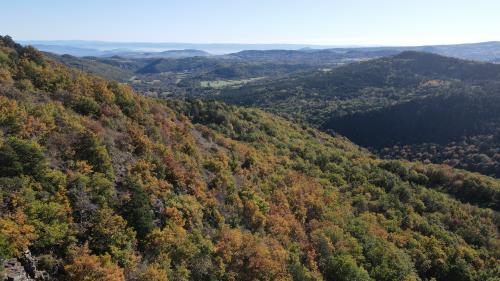 DJI_1601.JPG
